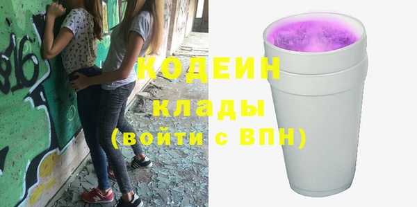 соль ск Дмитриев