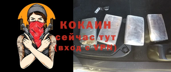 соль ск Дмитриев