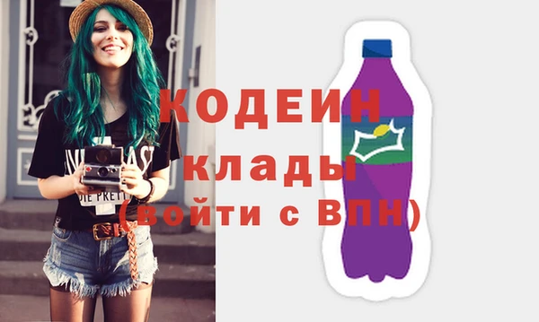 соль ск Дмитриев