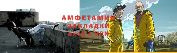 соль ск Дмитриев