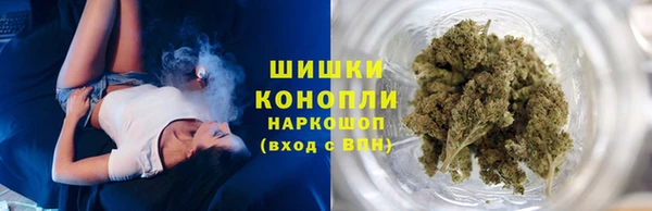 соль ск Дмитриев