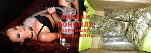 соль ск Дмитриев