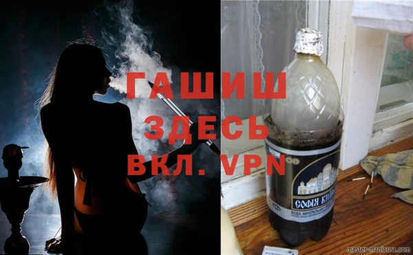 ешки Ельня