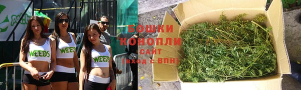 ешки Дмитровск