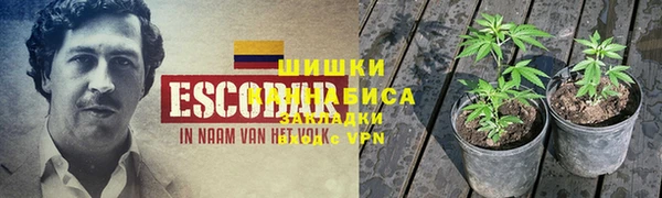 соль ск Дмитриев