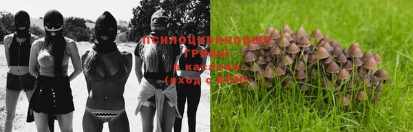 ешки Ельня