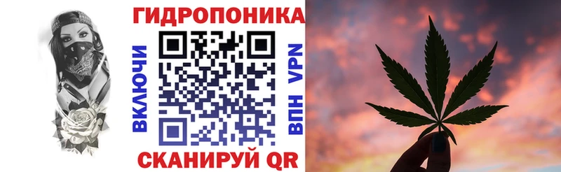 Купить где  Нолинск  Бошки Шишки ГИДРОПОН 